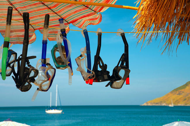 Book Shore Excursions